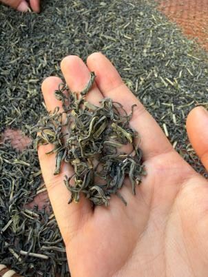 Clean Brew Chunmee | Uniform Strips, Steady Flavor For All Uses factory