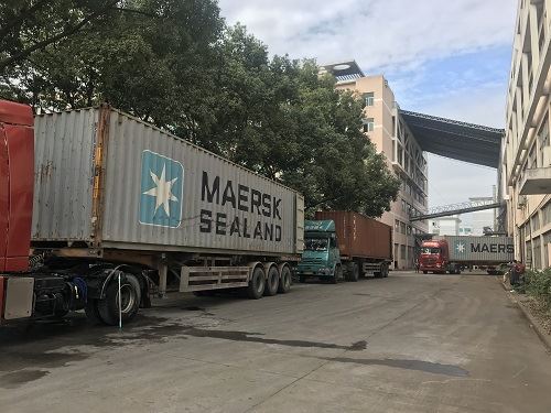 Premium 3505 Gunpowder Green Tea Wholesale Bulk Tea Factory Premium 3505 Gunpowder Green Tea Wholesale Bulk Tea Factory