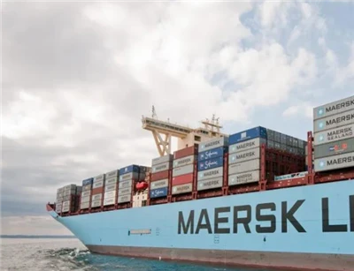 Transit-Resistant Chunmee | Low Breakage, Suitable For Multi-Stage Distribution suppliers